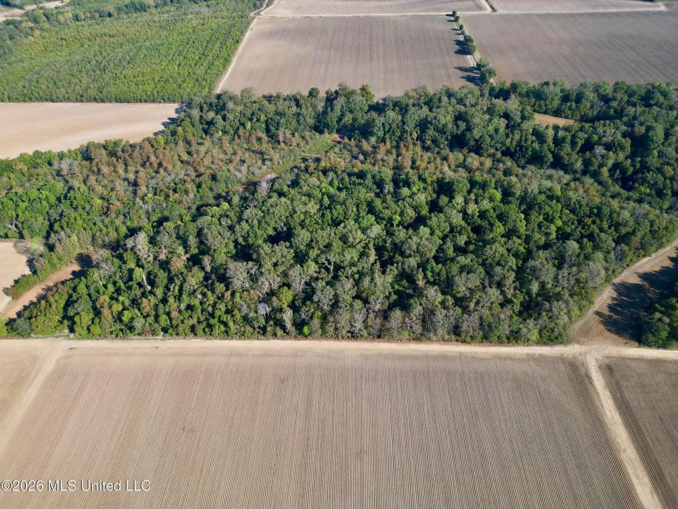 41.22 Acres MS Delta Duck Hunting