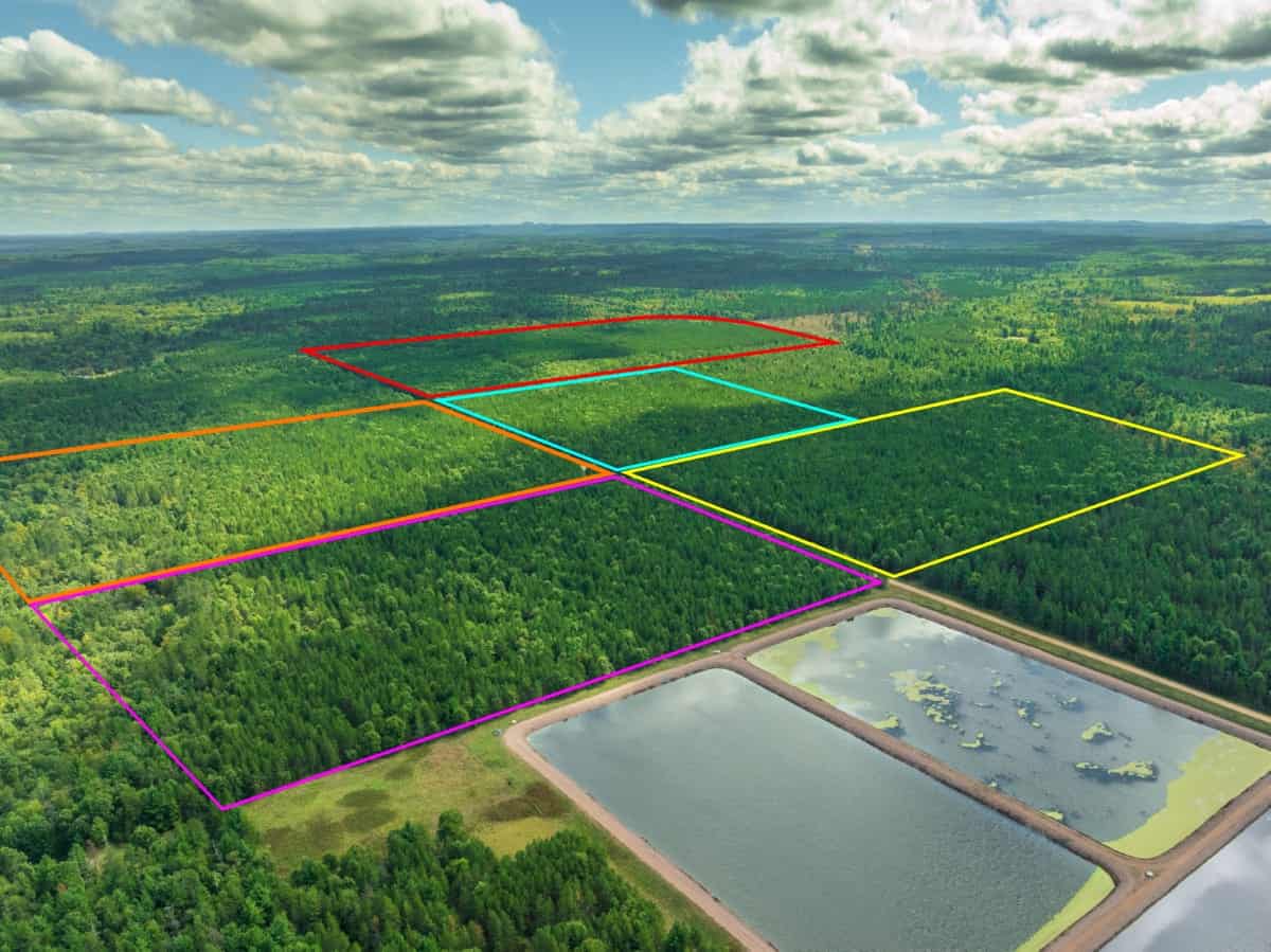 40± acres of timbered hunting and recreational land