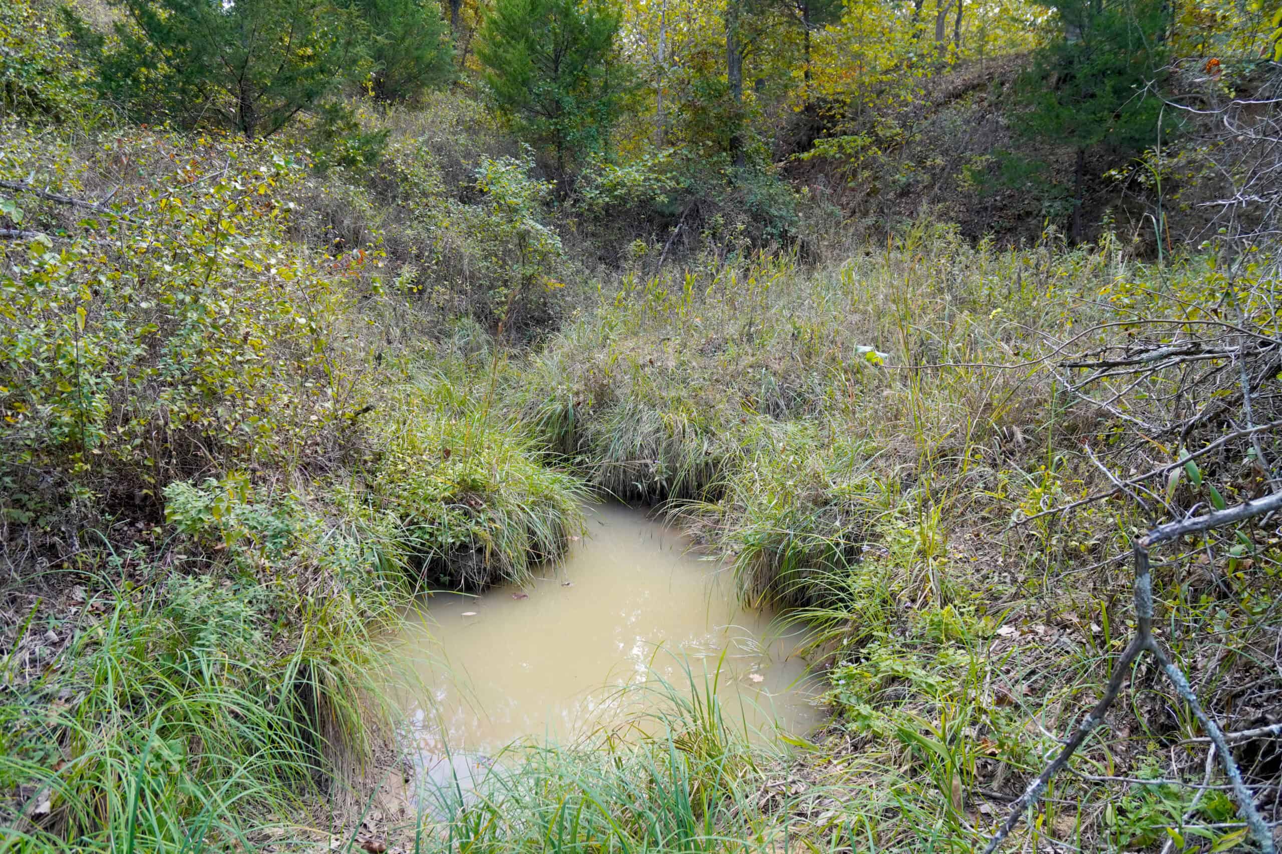 80 Acres +/- Hunting/Recreational Land For Sale Central Oklahoma