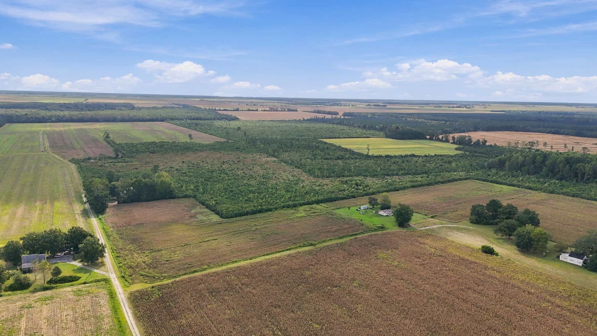 309-Acre Farm & Timberland for Sale in Beaufort County, NC