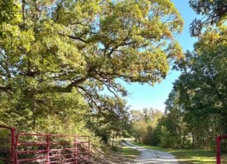 250-Acre Premier Hunting Farm with Weldon River Frontage & 6,152+ Sq Ft Home – Mercer County, MO