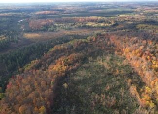 160 ± Acre Hunting Land with Camp Site Near Butternut, WI