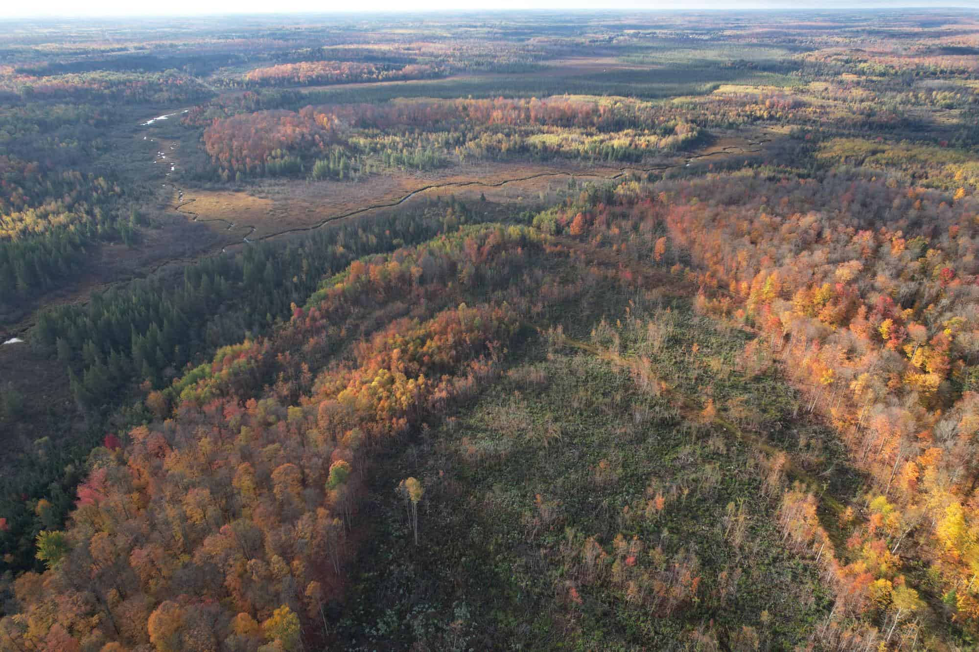 160 ± Acre Hunting Land with Camp Site Near Butternut, WI