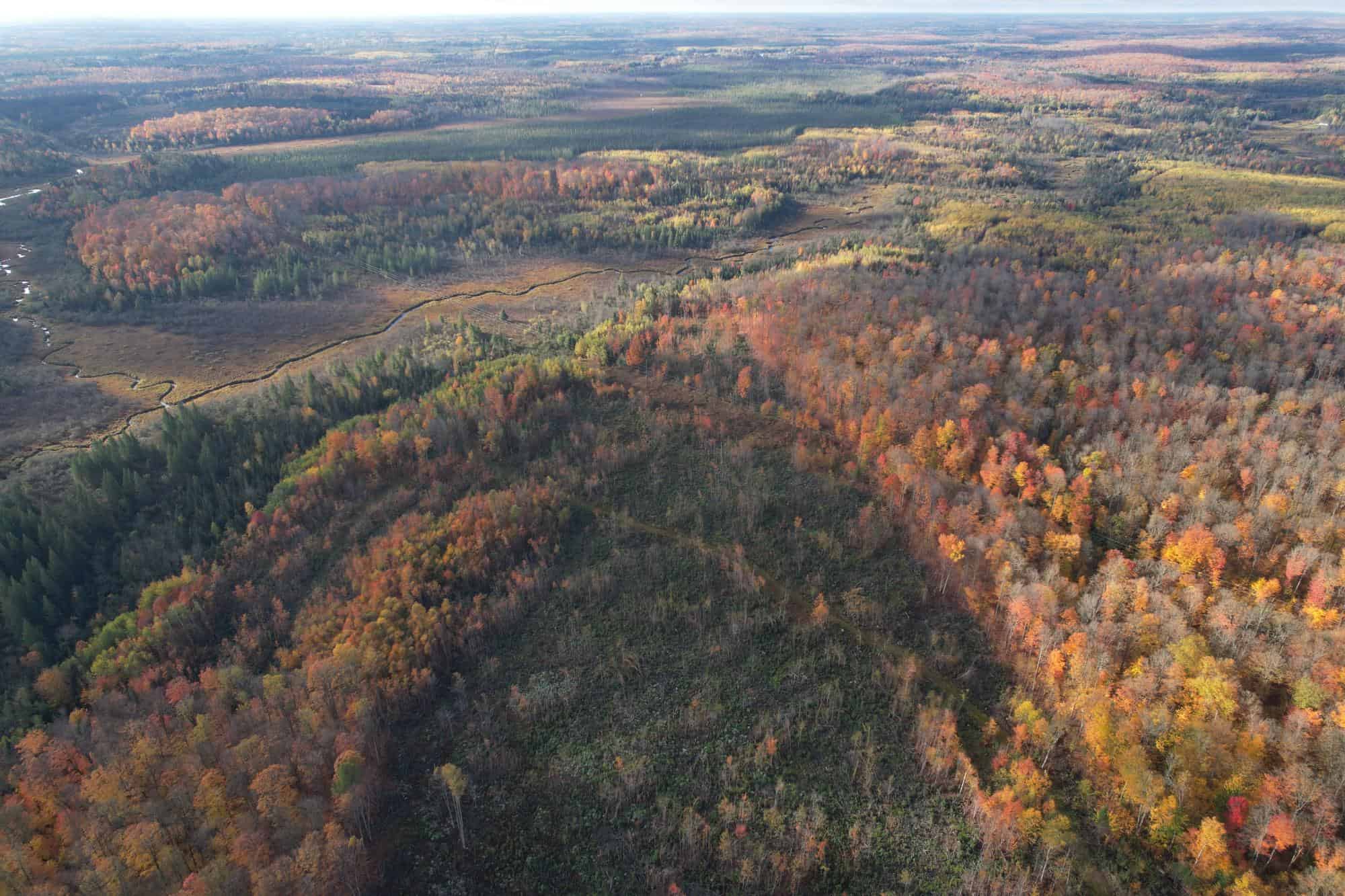 160 ± Acre Hunting Land with Camp Site Near Butternut, WI