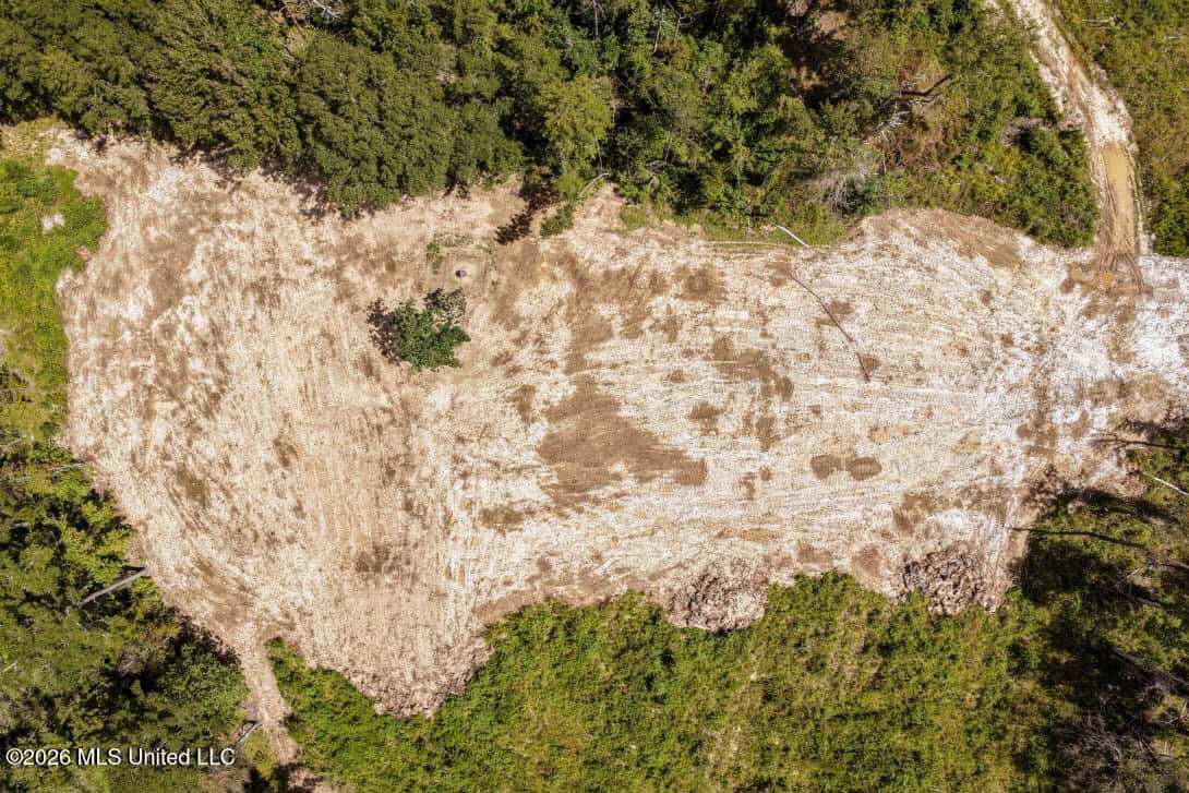 900 Acres for Sale – Hunter’s Paradise South Mississippi