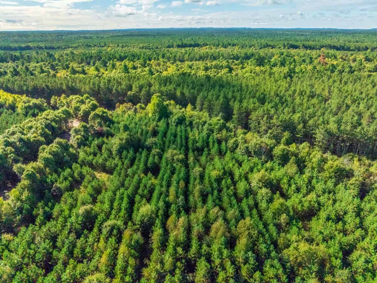 204.74± acres of premier recreational and hunting land in Eau Claire County
