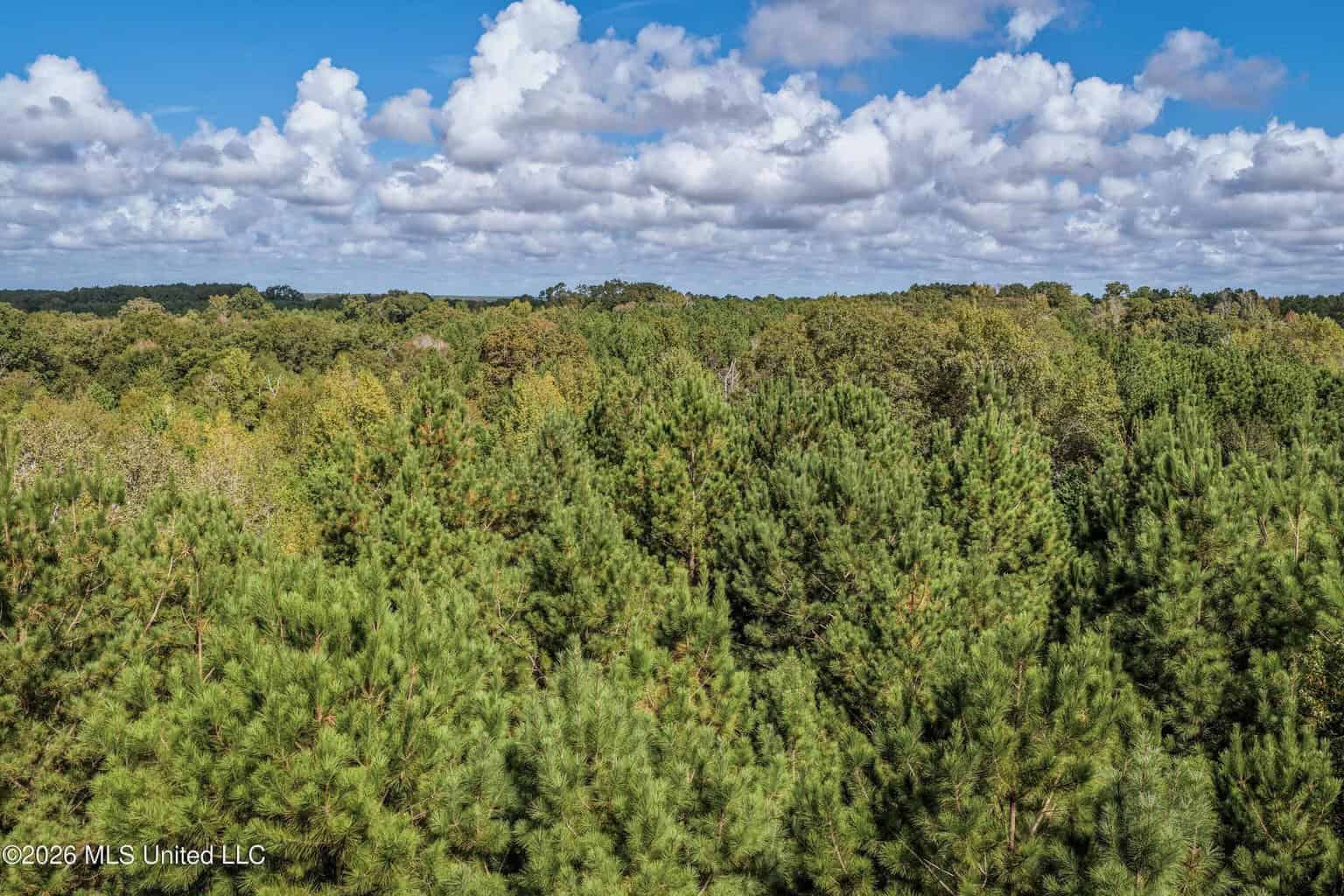 19.7+/- Acres of Wooded Land for Sale in Magnolia, MS