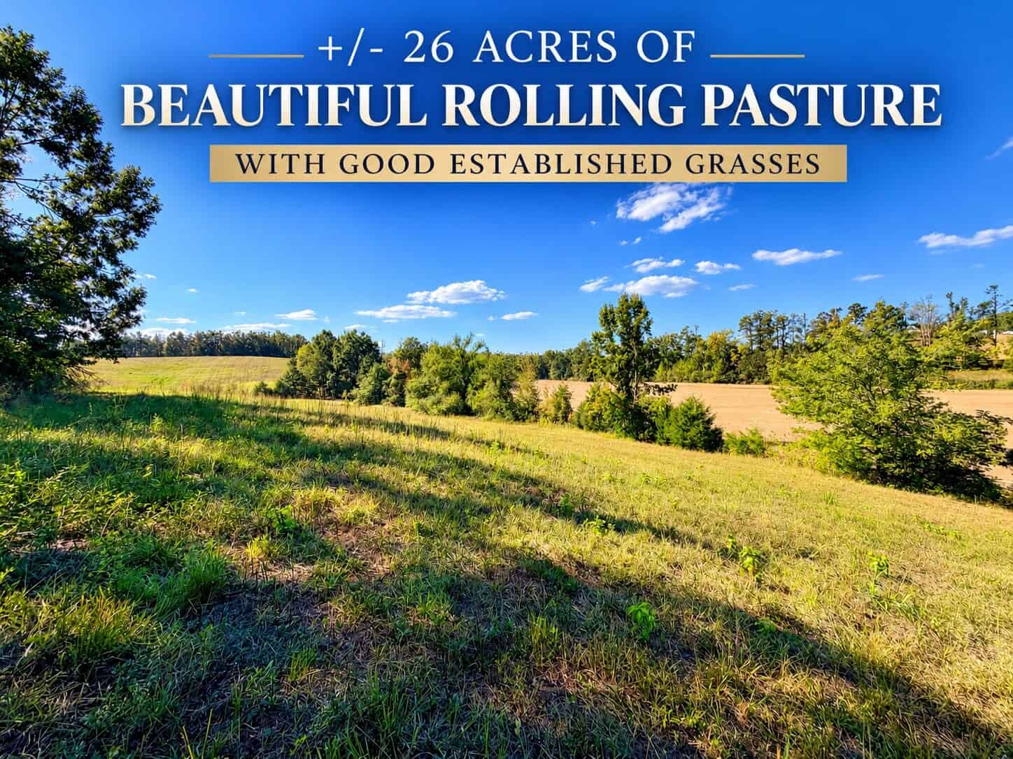 Farm, Breathtaking Home Site, INCREDIBLE Views, Tippah Co., MS