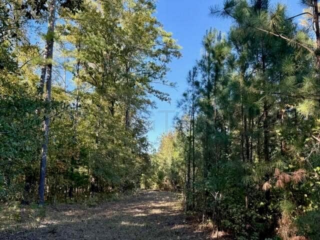 63 Acres Land For Sale Near Starkville MS