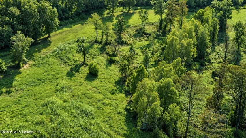 1979± Acre Hunting Plantation in White Castle, LA