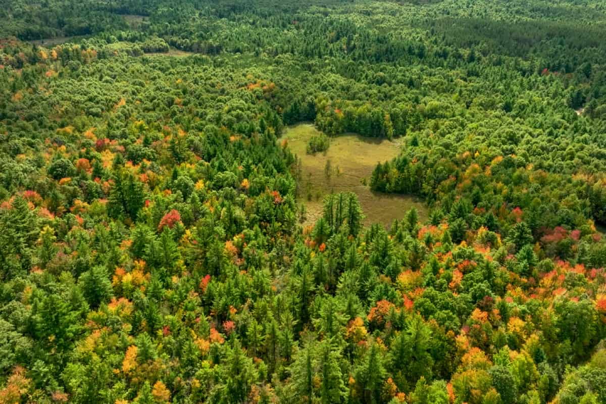 160+/- acres of Western Wisconsin hunting property Eau Claire Cty