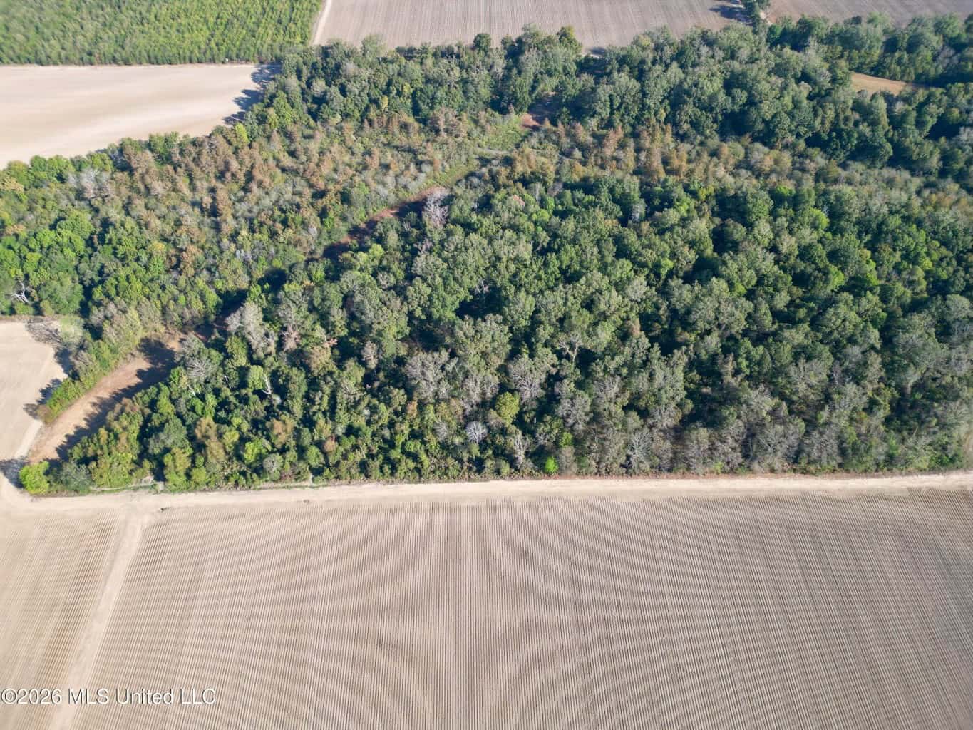 41.22 Acres MS Delta Duck Hunting