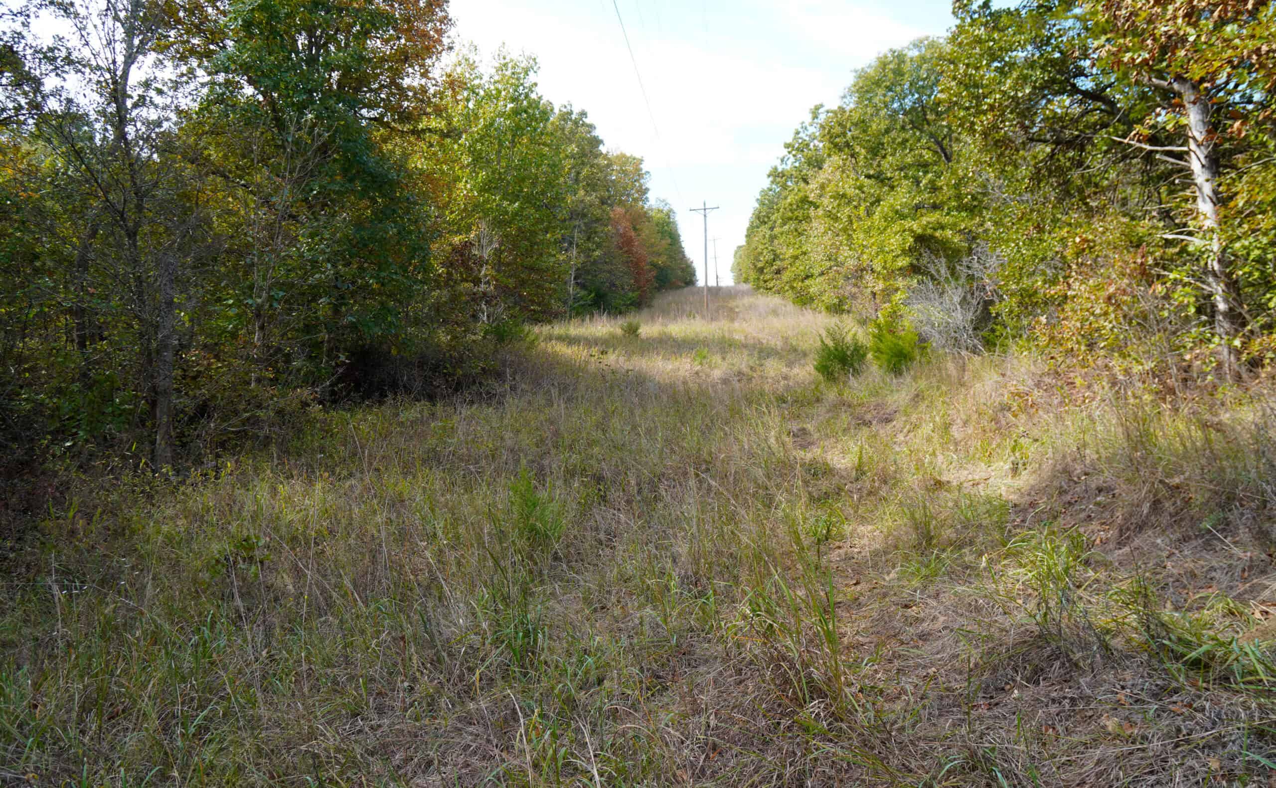 80 Acres +/- Hunting/Recreational Land For Sale Central Oklahoma