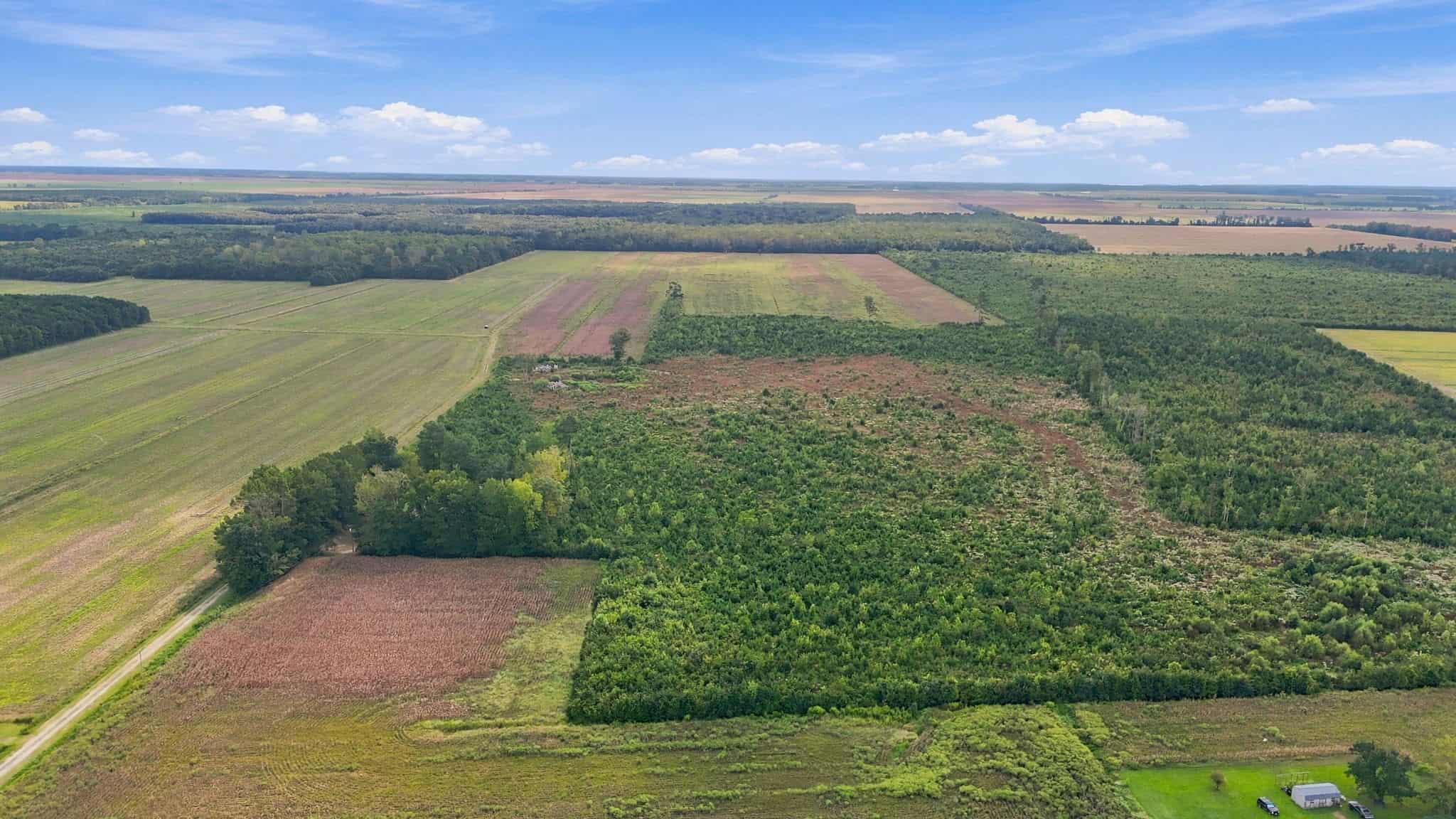 309-Acre Farm & Timberland for Sale in Beaufort County, NC