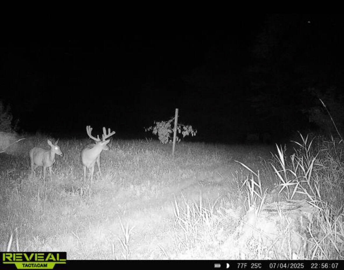 Turnkey 28± Acre Hunting Property Near Melrose, Wisconsin