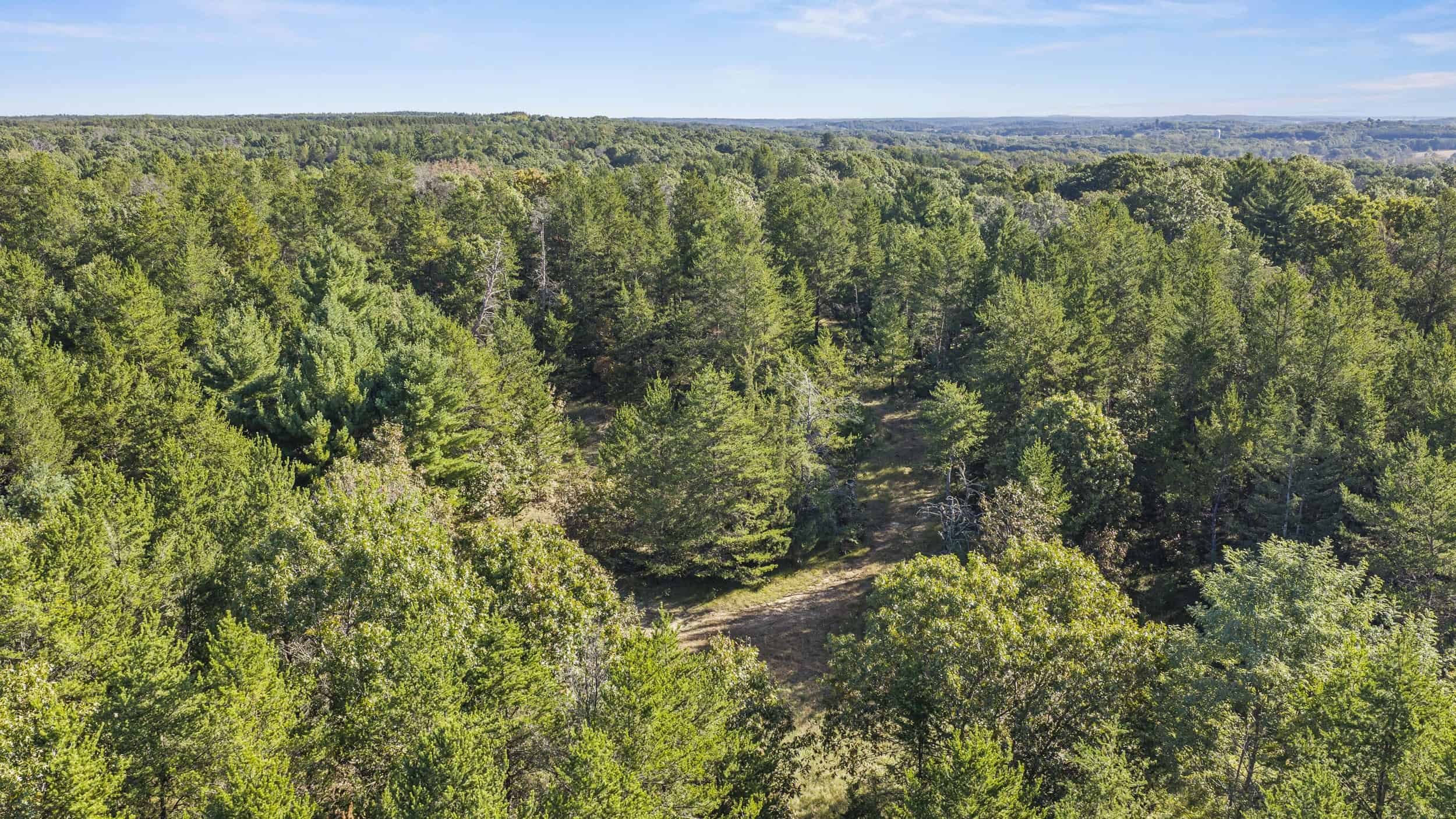 Buildable Hunting and Rec Property in Marquette County WI