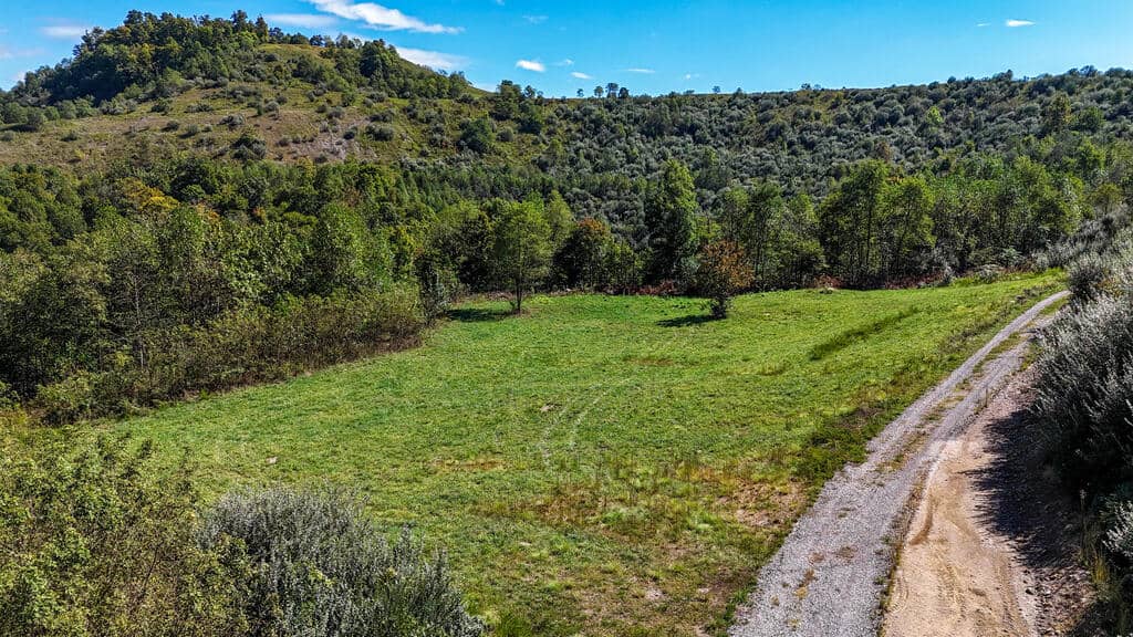 Blankenship Acres | 216 Acres in Virginia’s Elk Country