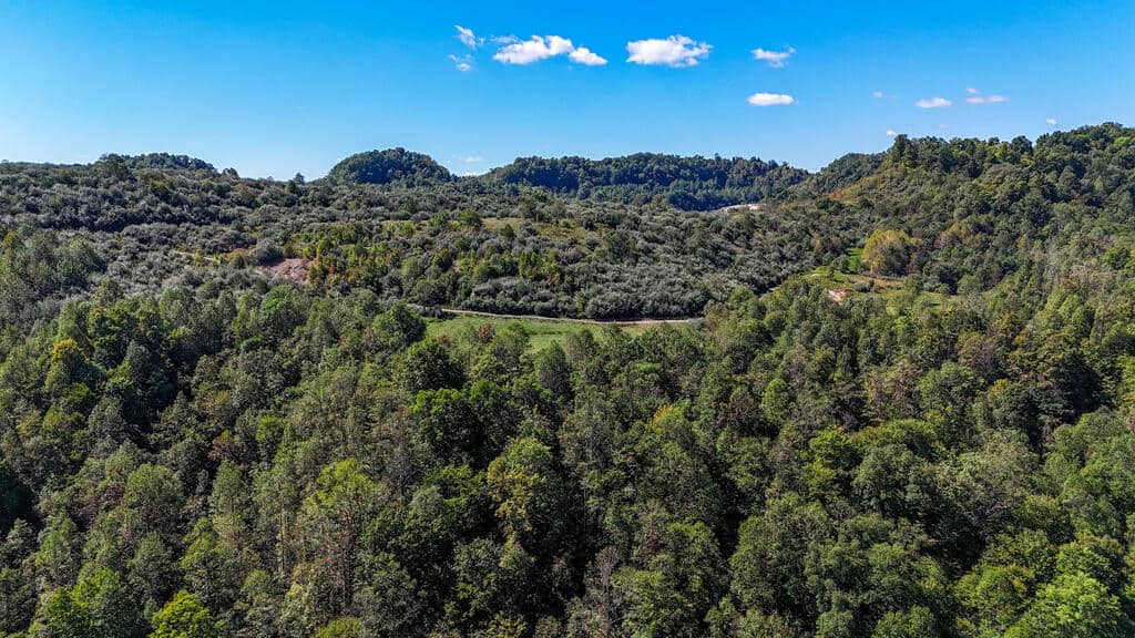 Blankenship Acres | 216 Acres in Virginia’s Elk Country