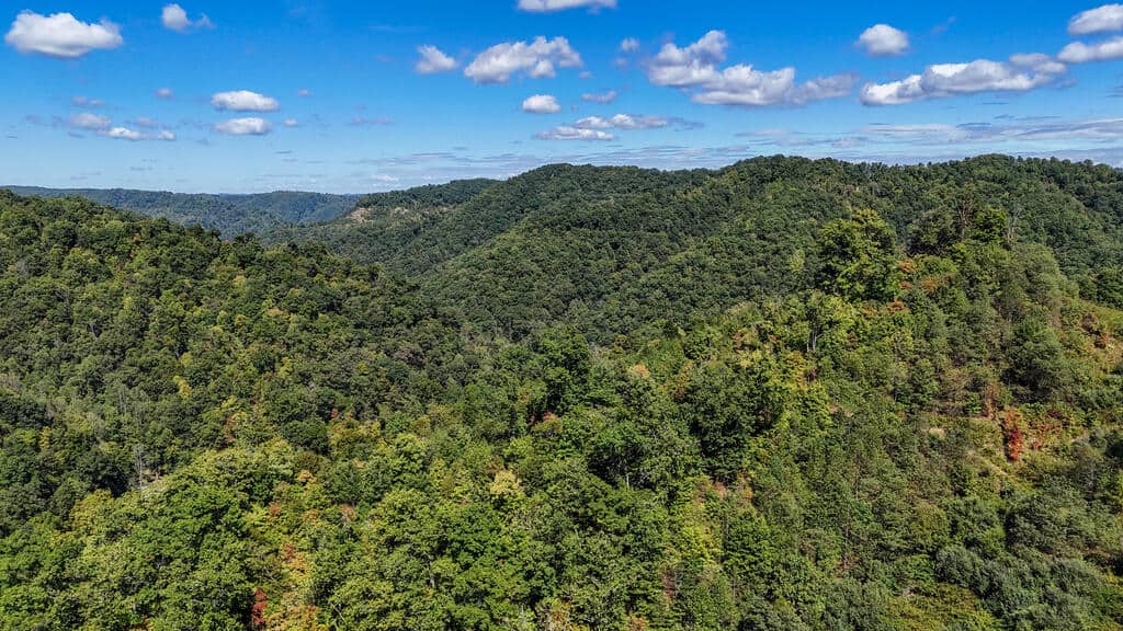 Blankenship Acres | 216 Acres in Virginia’s Elk Country