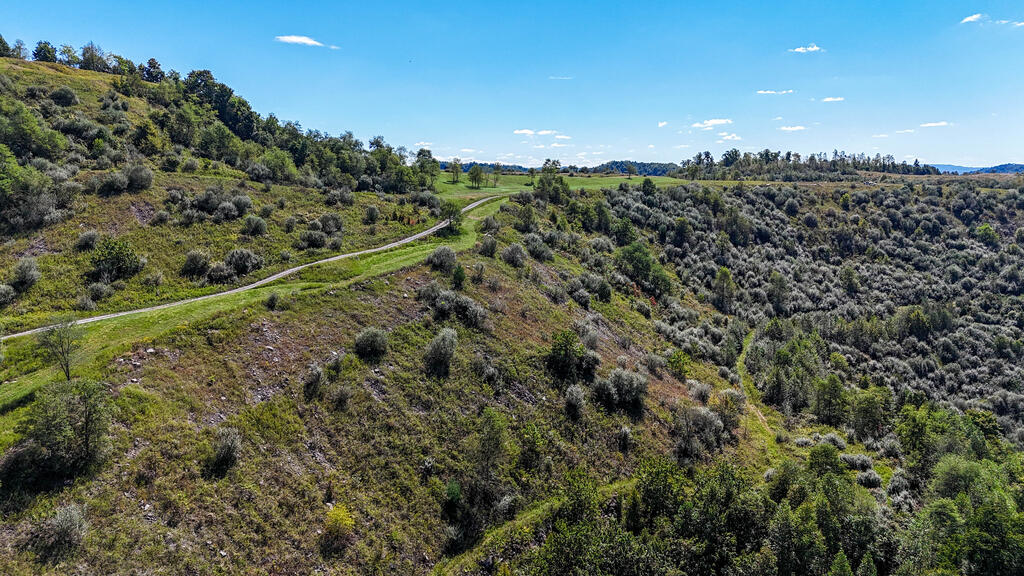 Blankenship Acres | 216 Acres in Virginia’s Elk Country