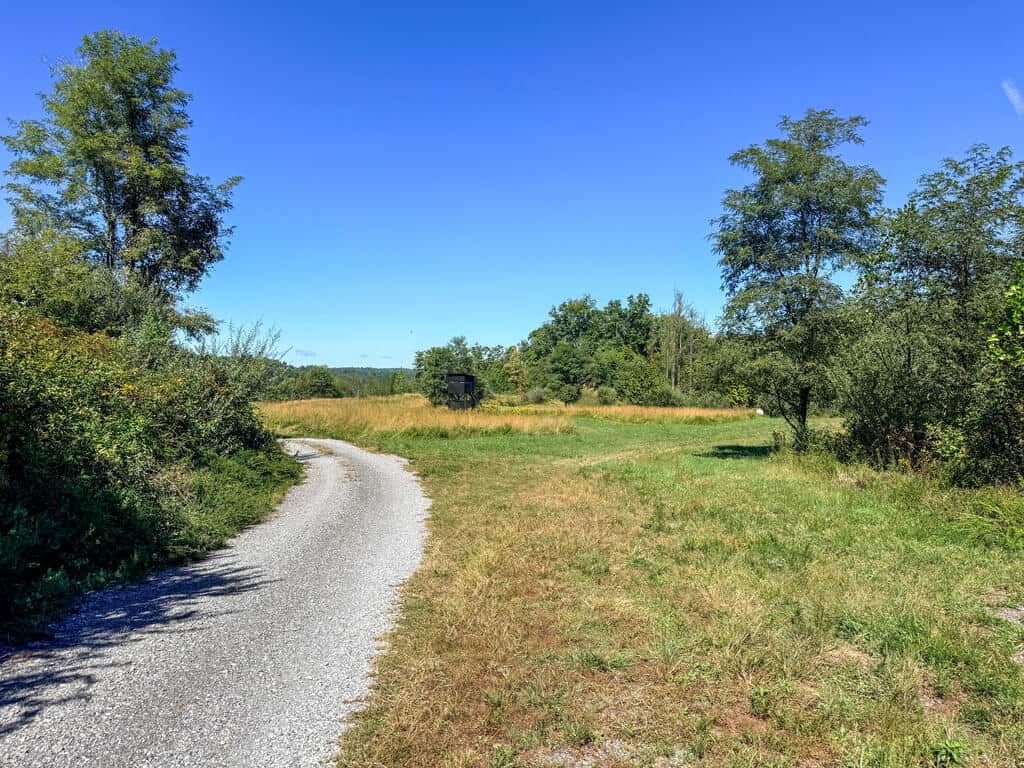Blankenship Acres | 216 Acres in Virginia’s Elk Country