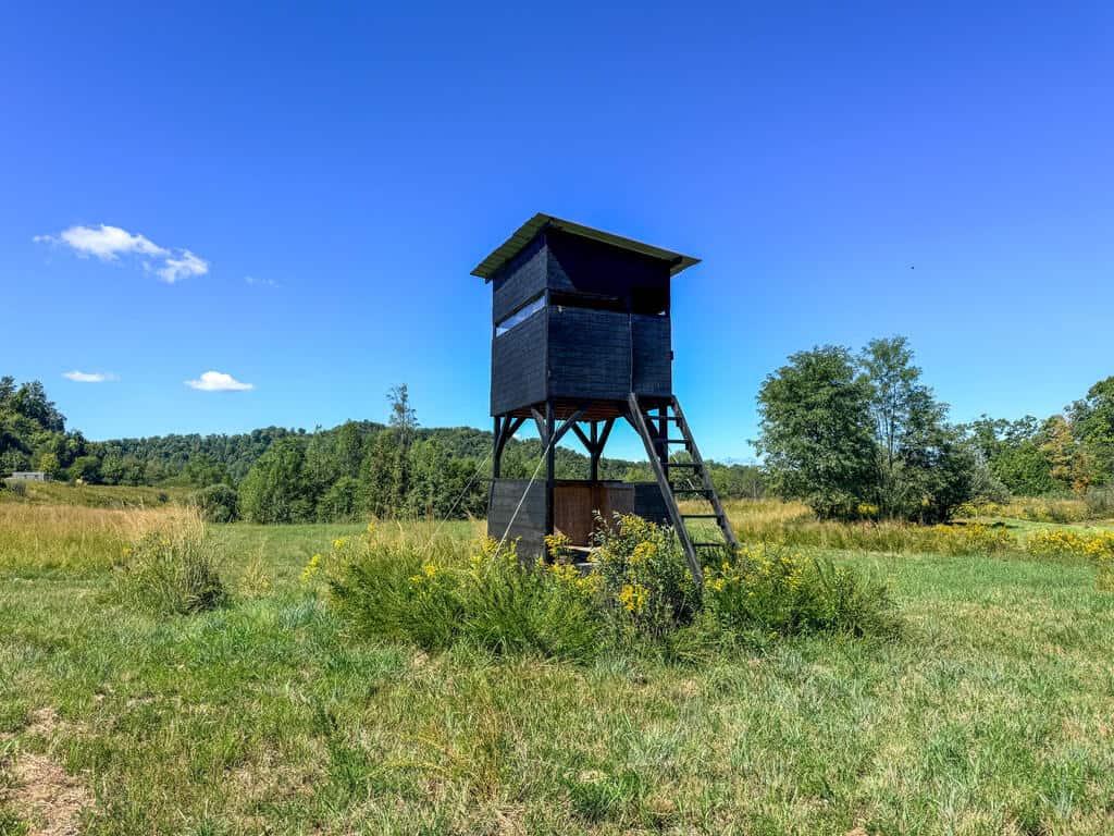 Blankenship Acres | 216 Acres in Virginia’s Elk Country