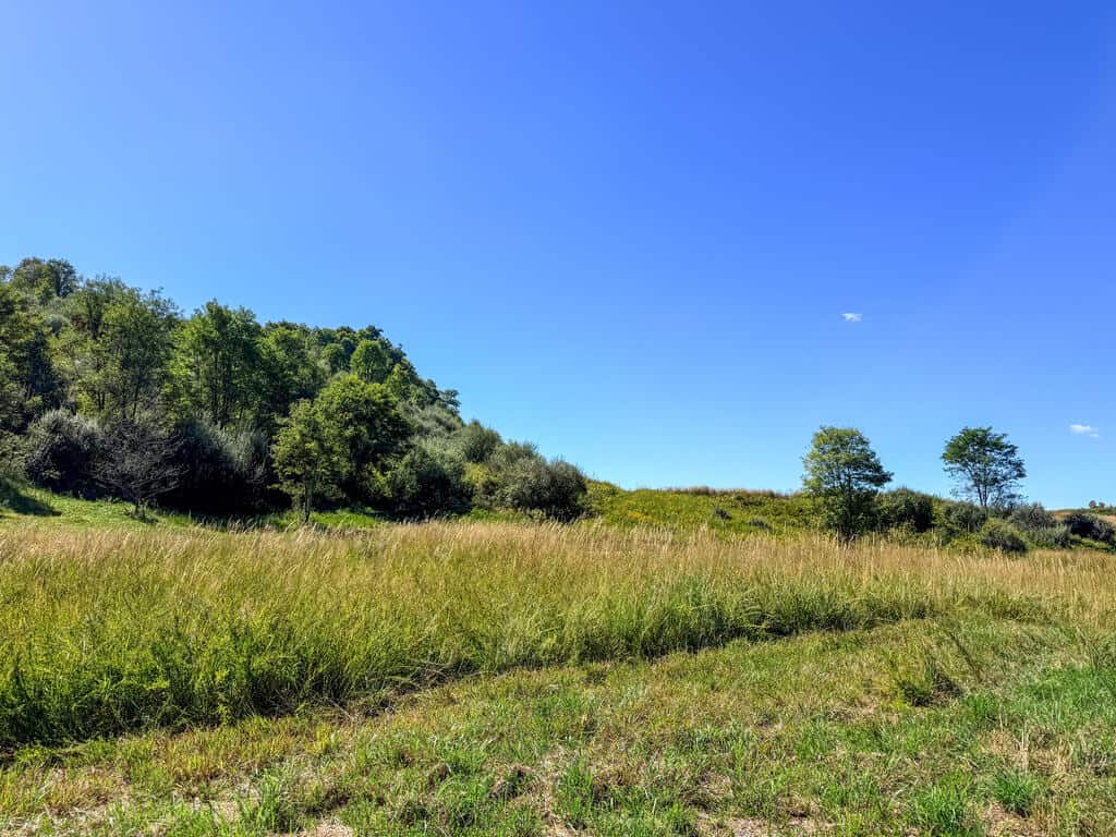 Blankenship Acres | 216 Acres in Virginia’s Elk Country