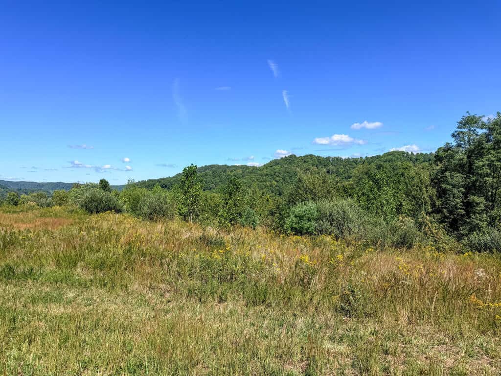 Blankenship Acres | 216 Acres in Virginia’s Elk Country