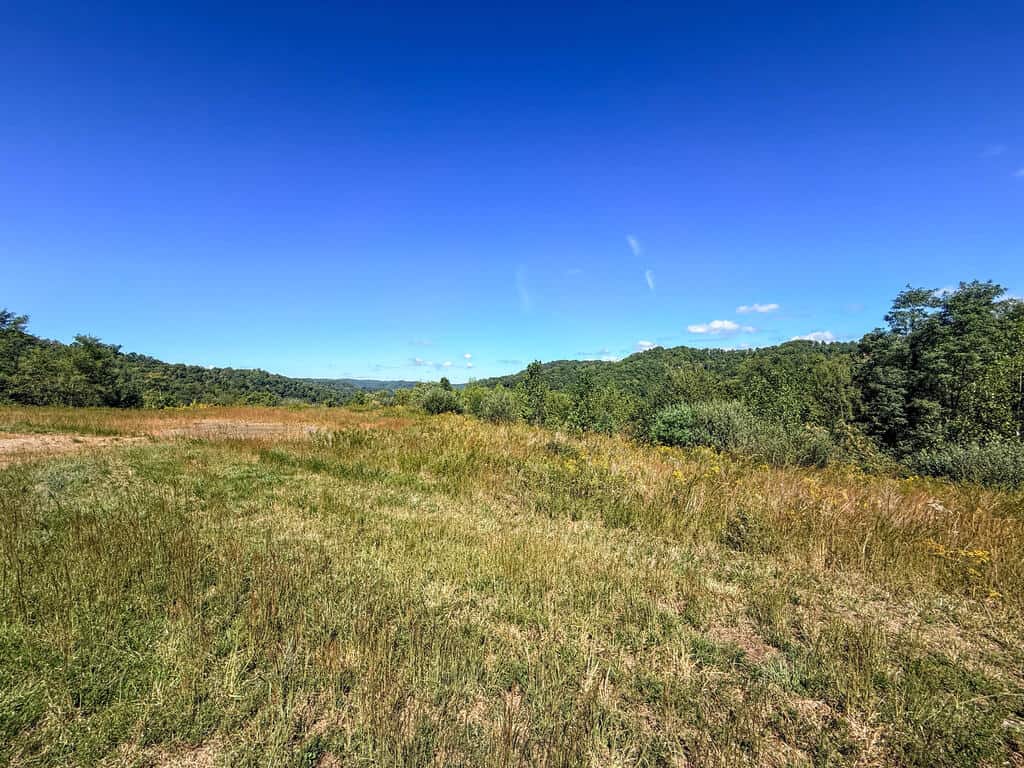 Blankenship Acres | 216 Acres in Virginia’s Elk Country