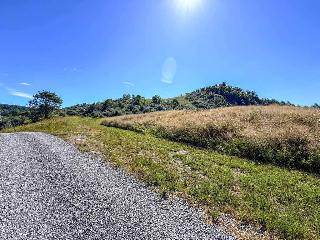 Blankenship Acres | 216 Acres in Virginia’s Elk Country