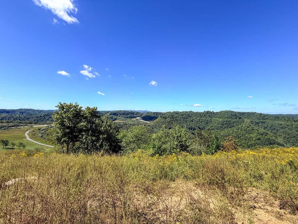 Blankenship Acres | 216 Acres in Virginia’s Elk Country