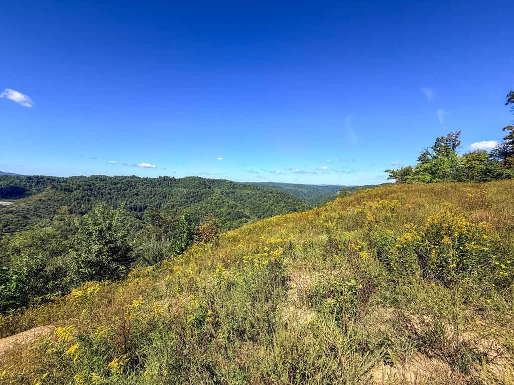 Blankenship Acres | 216 Acres in Virginia’s Elk Country