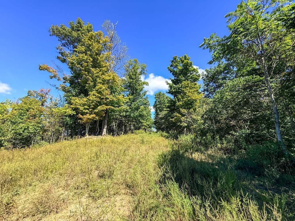 Blankenship Acres | 216 Acres in Virginia’s Elk Country