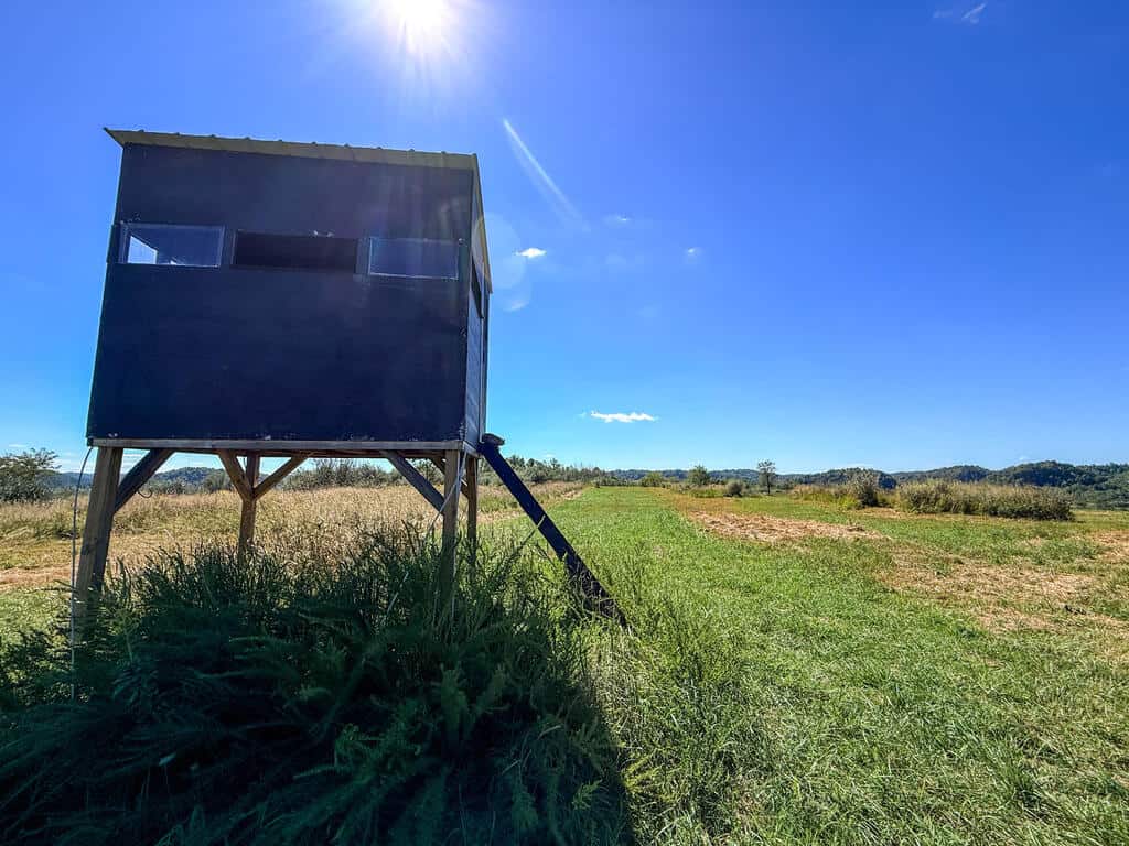 Blankenship Acres | 216 Acres in Virginia’s Elk Country