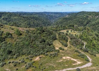Blankenship Acres | 216 Acres in Virginia’s Elk Country
