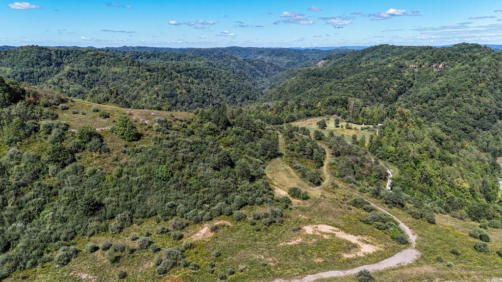 Blankenship Acres | 216 Acres in Virginia’s Elk Country