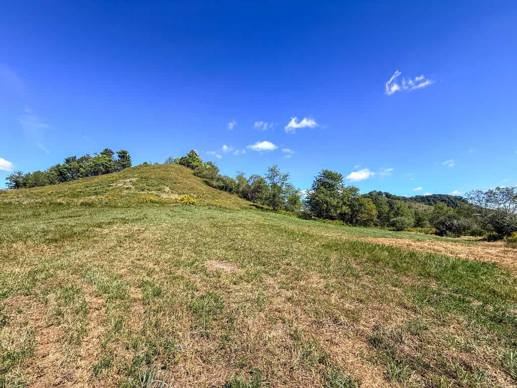 Blankenship Acres | 216 Acres in Virginia’s Elk Country