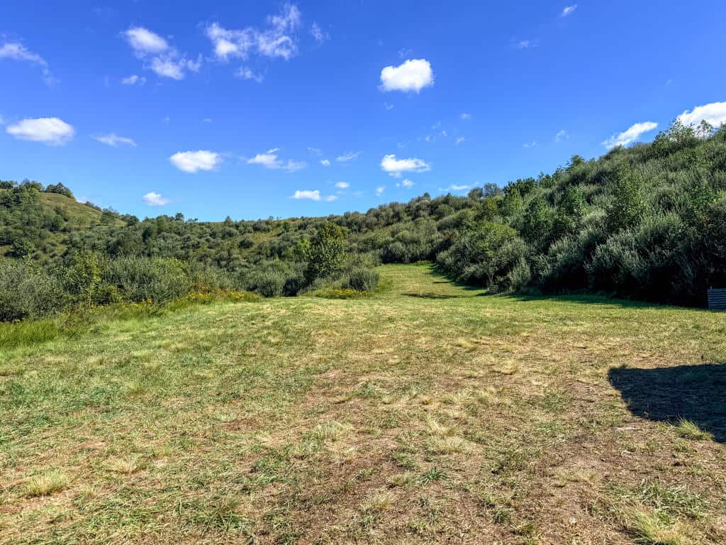 Blankenship Acres | 216 Acres in Virginia’s Elk Country