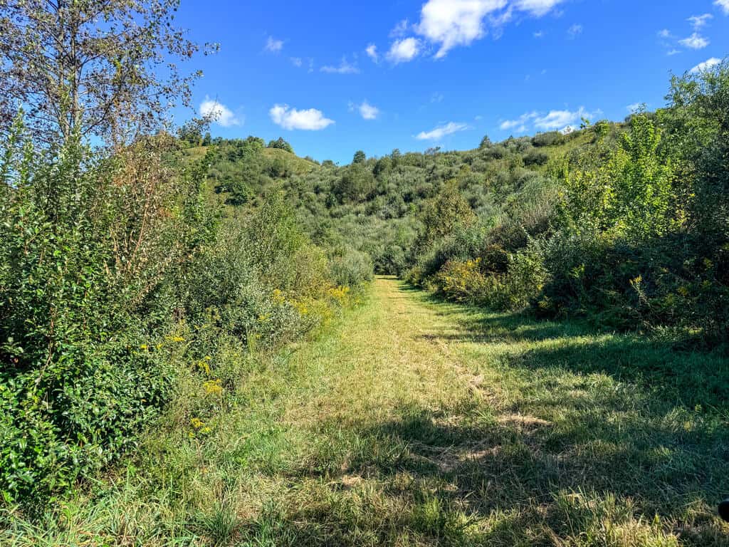 Blankenship Acres | 216 Acres in Virginia’s Elk Country