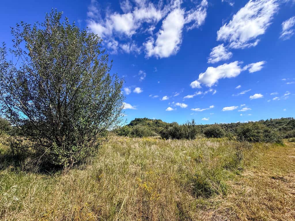 Blankenship Acres | 216 Acres in Virginia’s Elk Country