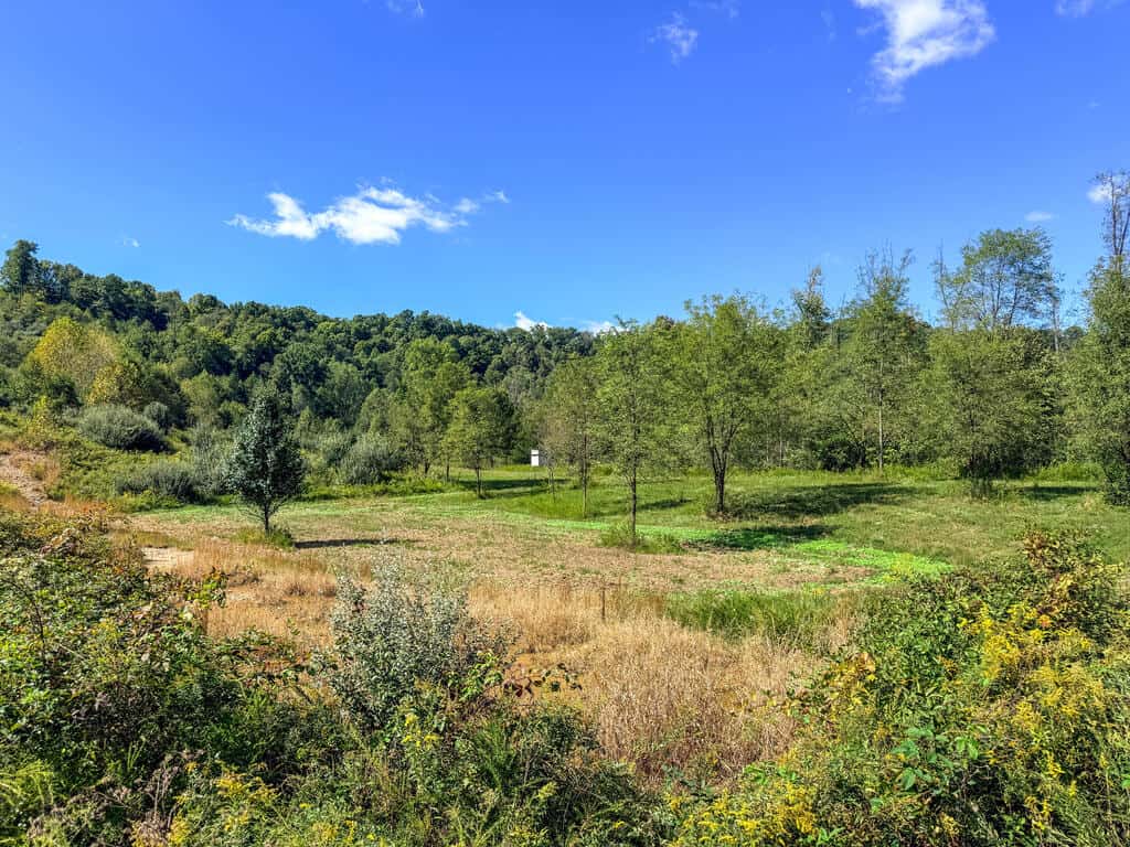 Blankenship Acres | 216 Acres in Virginia’s Elk Country