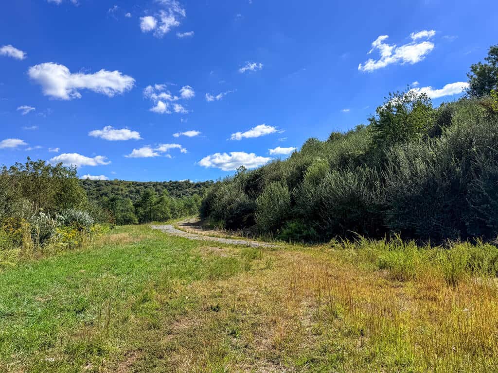 Blankenship Acres | 216 Acres in Virginia’s Elk Country