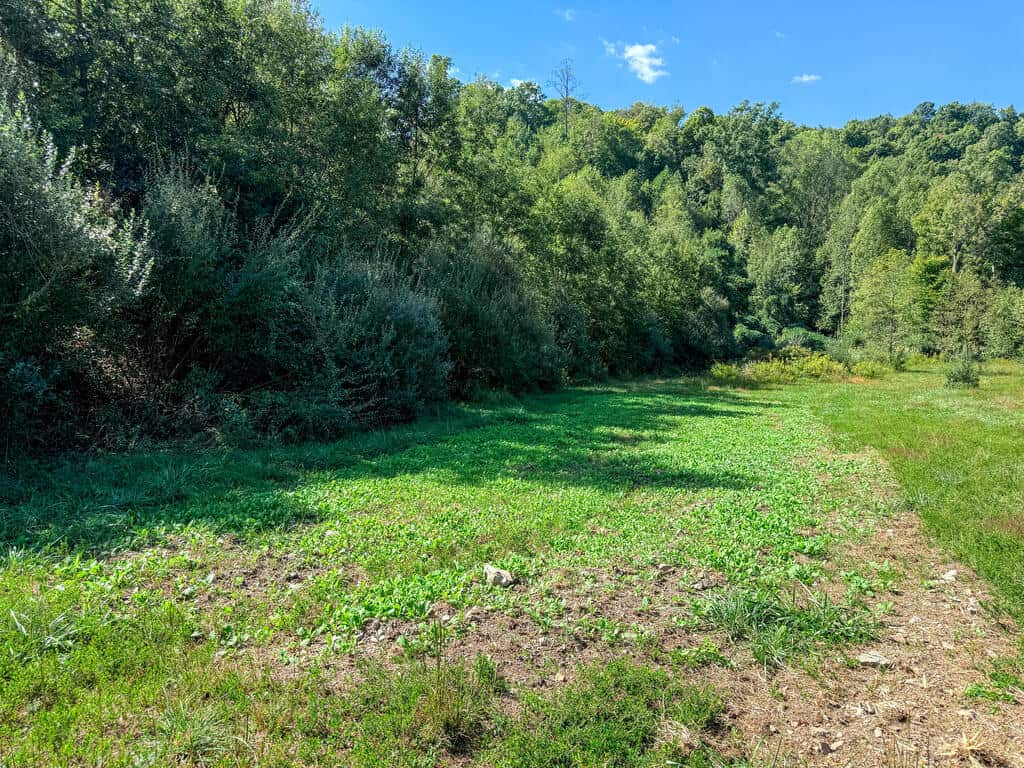 Blankenship Acres | 216 Acres in Virginia’s Elk Country