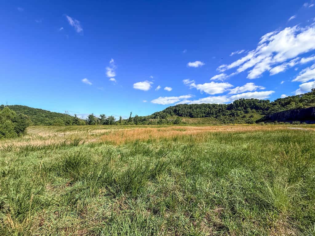 Blankenship Acres | 216 Acres in Virginia’s Elk Country