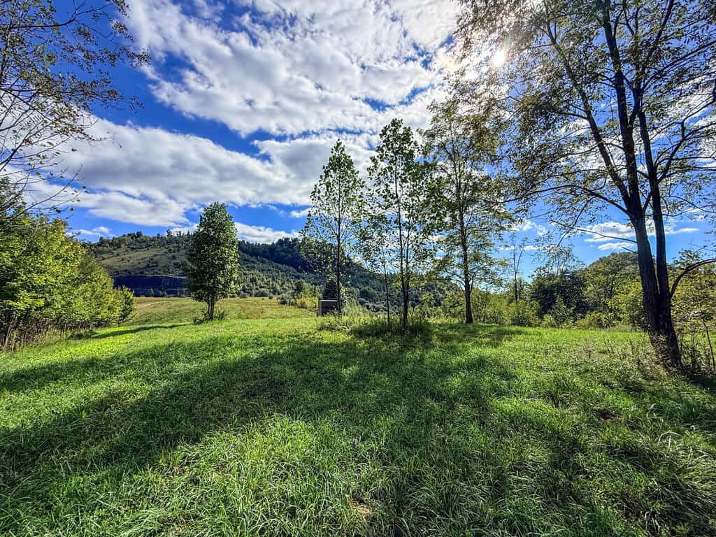 Blankenship Acres | 216 Acres in Virginia’s Elk Country