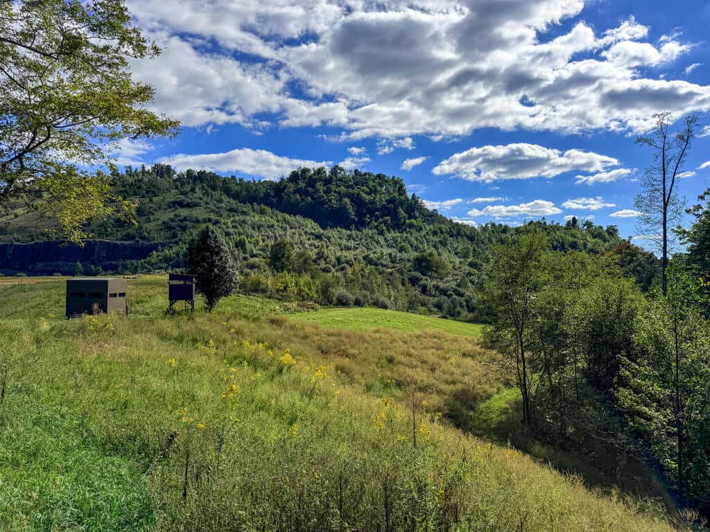 Blankenship Acres | 216 Acres in Virginia’s Elk Country