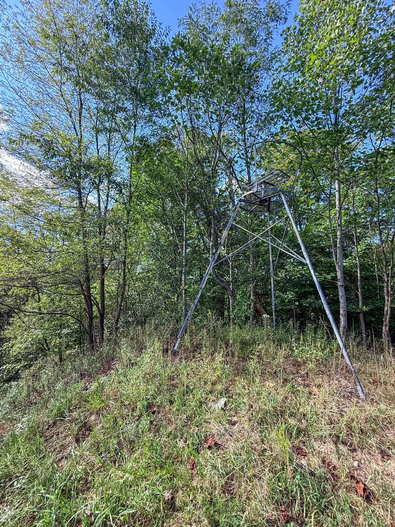 Blankenship Acres | 216 Acres in Virginia’s Elk Country