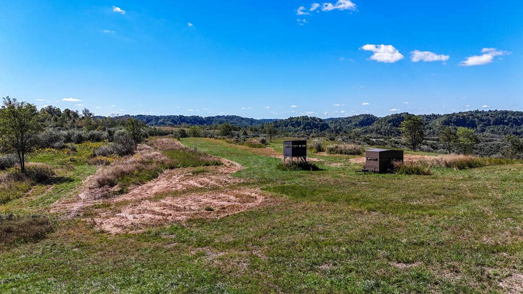 Blankenship Acres | 216 Acres in Virginia’s Elk Country