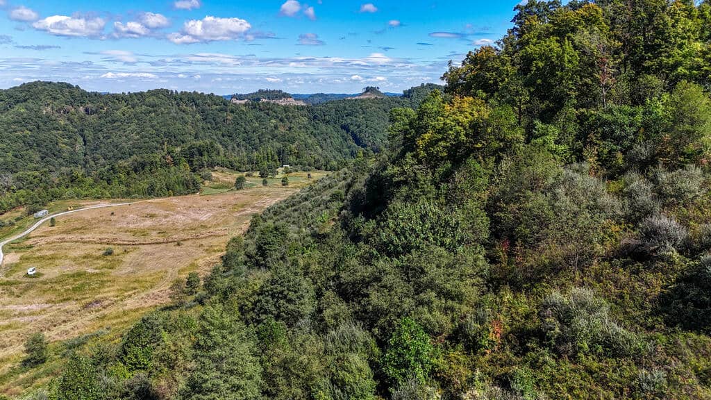 Blankenship Acres | 216 Acres in Virginia’s Elk Country