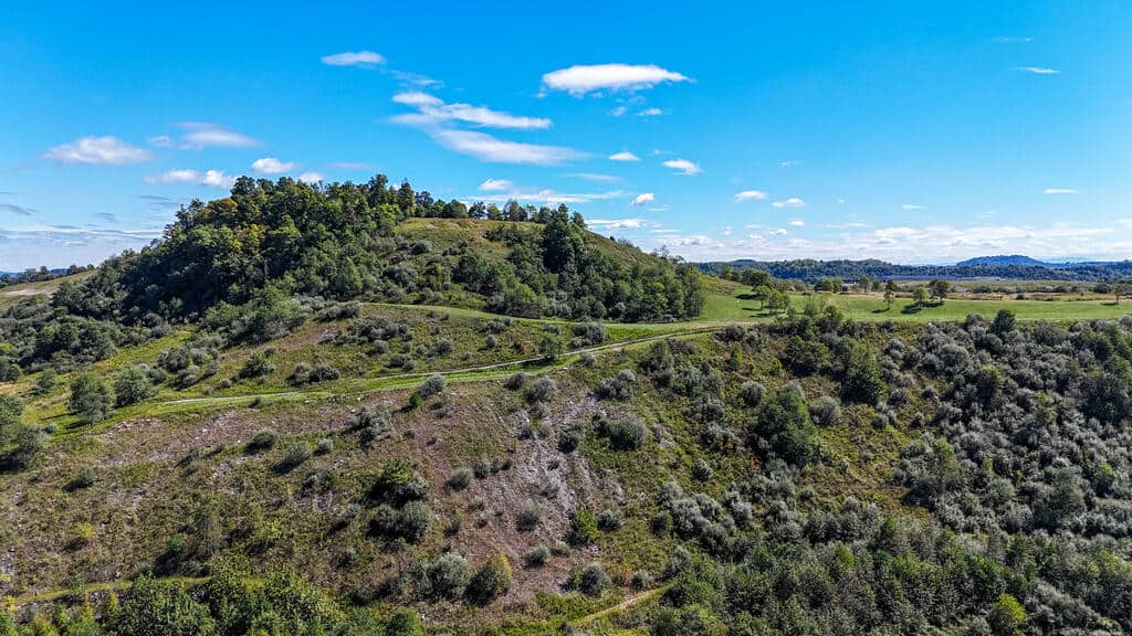 Blankenship Acres | 216 Acres in Virginia’s Elk Country